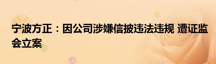 宁波方正:因公司涉嫌信披违法违规 遭证监会立案