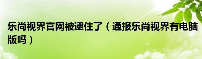 乐尚视界官网被逮住了(通报乐尚视界有电脑版吗)
