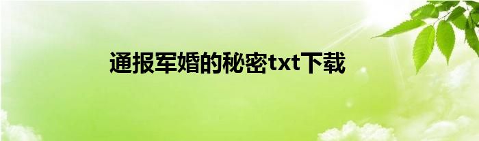 通报军婚的秘密txt下载