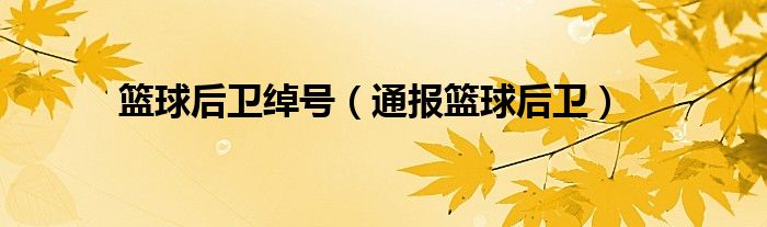 篮球后卫绰号(通报篮球后卫)