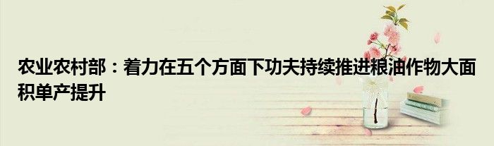 农业农村部:着力在五个方面下功夫持续推进粮油作物大面积单产提升