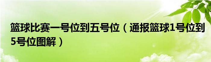 篮球比赛一号位到五号位(通报篮球1号位到5号位图解)