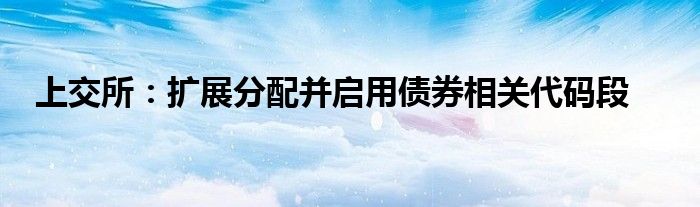 上交所:扩展分配并启用债券相关代码段