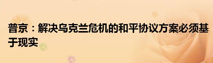 普京:解决乌克兰危机的和平协议方案必须基于现实