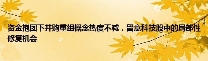 资金抱团下并购重组概念热度不减,留意科技股中的局部性修复机会