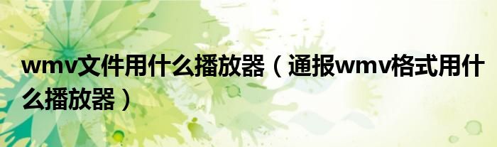 wmv文件用什么播放器(通报wmv格式用什么播放器)