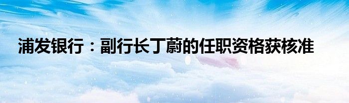 浦发银行:副行长丁蔚的任职资格获核准