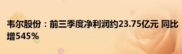 韦尔股份:前三季度净利润约23.75亿元 同比增545%