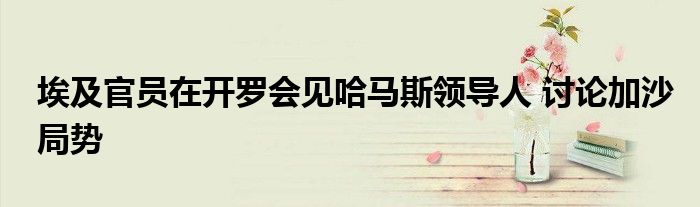 埃及官员在开罗会见哈马斯领导人 讨论加沙局势