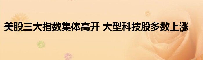 美股三大指数集体高开 大型科技股多数上涨