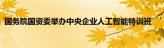 国务院国资委举办中央企业人工智能特训班