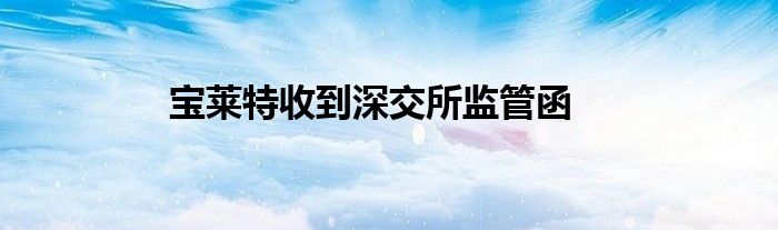 宝莱特收到深交所监管函