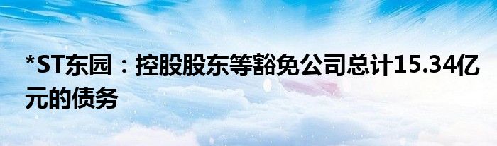 *ST东园:控股股东等豁免公司总计15.34亿元的债务