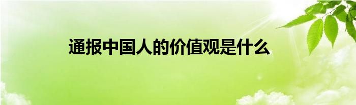 通报中国人的价值观是什么
