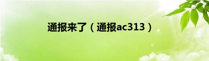 通报来了(通报ac313)