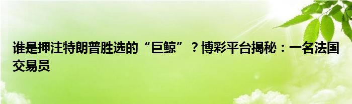 谁是押注特朗普胜选的“巨鲸”?博彩平台揭秘:一名法国交易员