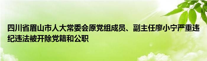 四川省眉山市人大常委会原党组成员、副主任廖小宁严重违纪违法被开除党籍和公职
