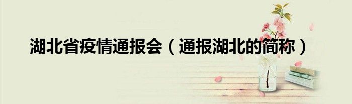 湖北省疫情通报会(通报湖北的简称)