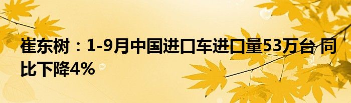 崔东树：1-9月中国进口车进口量53万台 同比下降4%