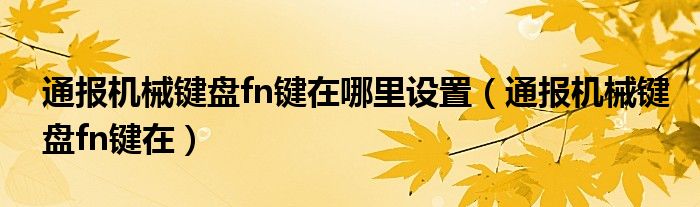 通报机械键盘fn键在哪里设置(通报机械键盘fn键在)