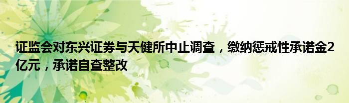 证监会对东兴证券与天健所中止调查,缴纳惩戒性承诺金2亿元,承诺自查整改