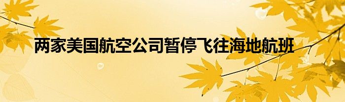 两家美国航空公司暂停飞往海地航班