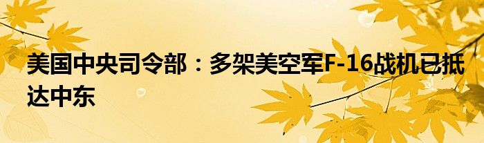 美国中央司令部:多架美空军F-16战机已抵达中东
