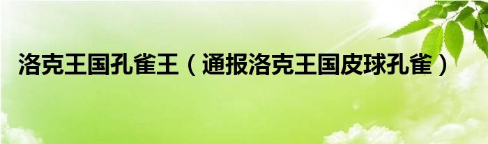 洛克王国孔雀王(通报洛克王国皮球孔雀)