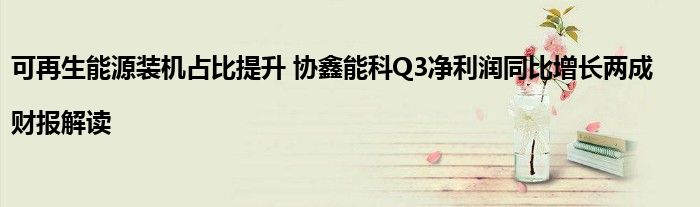 可再生能源装机占比提升 协鑫能科Q3净利润同比增长两成|财报解读