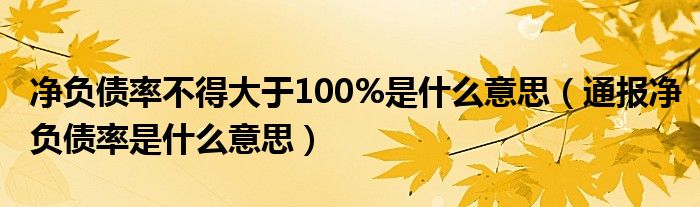 净负债率不得大于100%是什么意思(通报净负债率是什么意思)