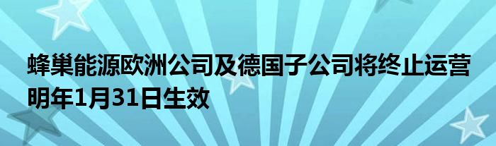 蜂巢能源欧洲公司及德国子公司将终止运营 明年1月31日生效