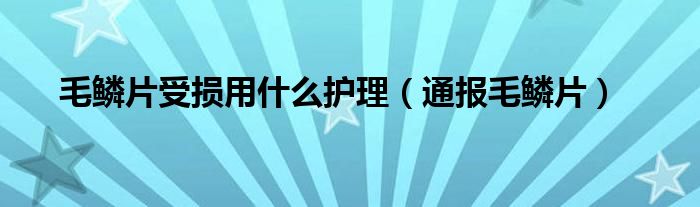毛鳞片受损用什么护理(通报毛鳞片)