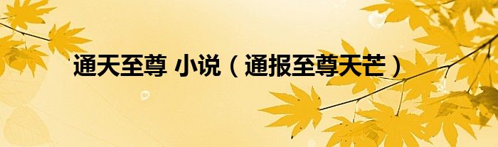 通天至尊 小说(通报至尊天芒)