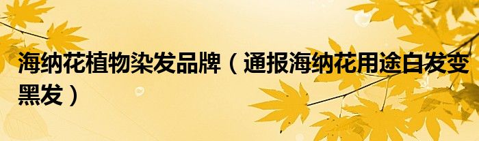 海纳花植物染发品牌(通报海纳花用途白发变黑发)