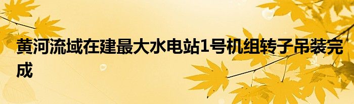 黄河流域在建最大水电站1号机组转子吊装完成