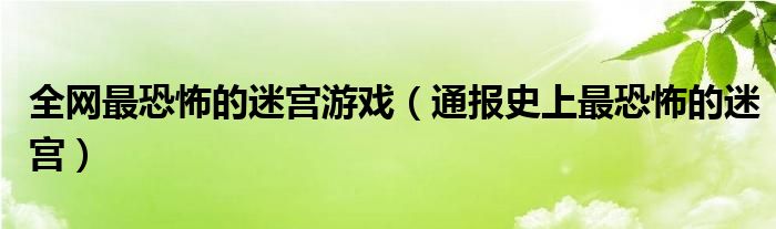 全网最恐怖的迷宫游戏(通报史上最恐怖的迷宫)