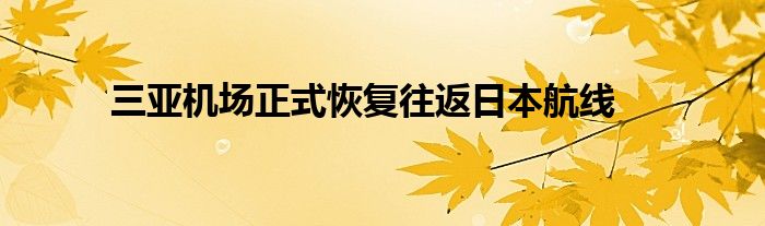 三亚机场正式恢复往返日本航线