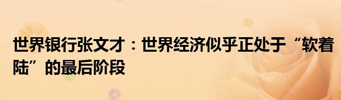 世界银行张文才:世界经济似乎正处于“软着陆”的最后阶段
