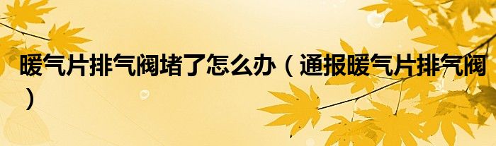 暖气片排气阀堵了怎么办(通报暖气片排气阀)