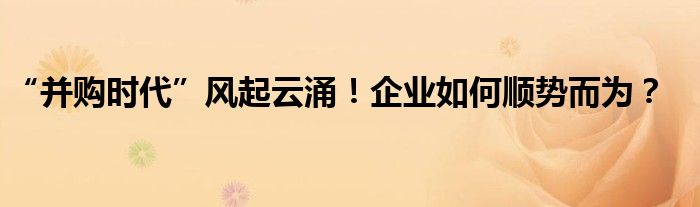 “并购时代”风起云涌!企业如何顺势而为?