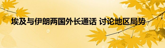 埃及与伊朗两国外长通话 讨论地区局势