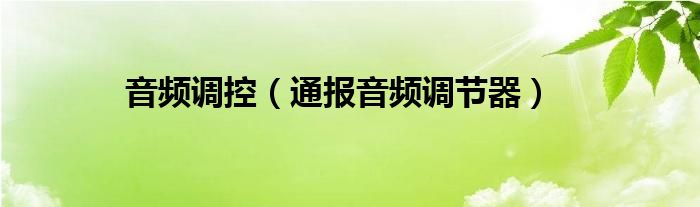 音频调控(通报音频调节器)