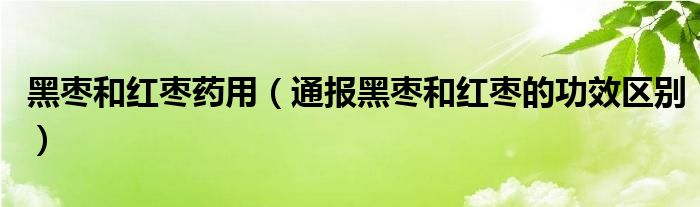 黑枣和红枣药用(通报黑枣和红枣的功效区别)