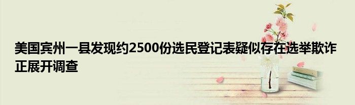 美国宾州一县发现约2500份选民登记表疑似存在选举欺诈 正展开调查