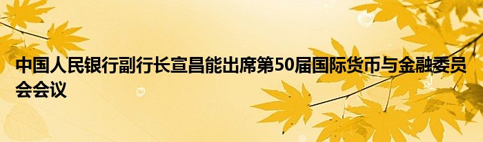 中国人民银行副行长宣昌能出席第50届国际货币与金融委员会会议