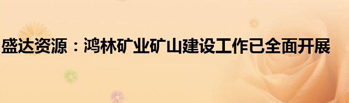 盛达资源:鸿林矿业矿山建设工作已全面开展