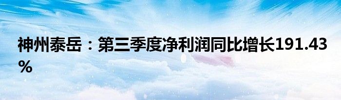 神州泰岳:第三季度净利润同比增长191.43%
