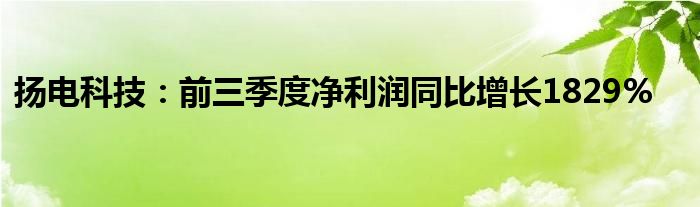 扬电科技：前三季度净利润同比增长1829%