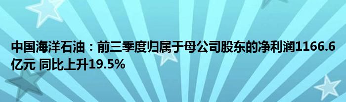 中国海洋石油:前三季度归属于母公司股东的净利润1166.6亿元 同比上升19.5%