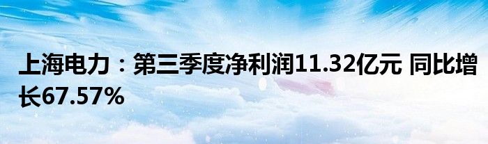 上海电力：第三季度净利润11.32亿元 同比增长67.57%